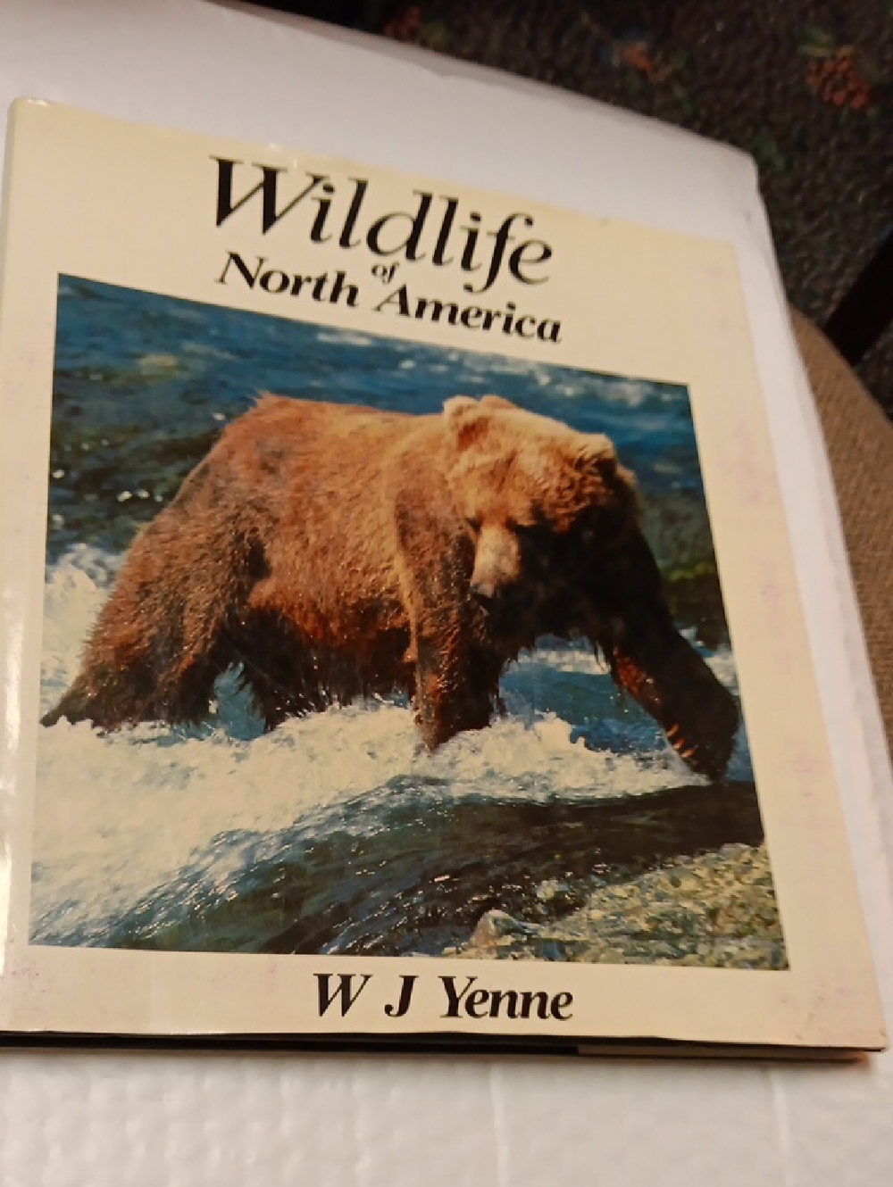 Wildlife of North America by W J Yenne - Brown Bear Cover